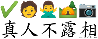 真人不露相 對應Emoji ✔ 🧑 🙅‍♂️ 🏕 📷  的對照PNG圖片