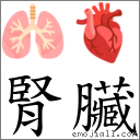 腎臟 對應Emoji 🫁 🫀  的對照PNG圖片