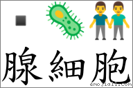 腺細胞 對應Emoji  🦠 👬  的對照PNG圖片