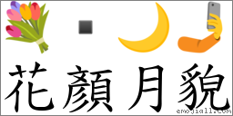 花顏月貌 對應Emoji 💐  🌙 🤳  的對照PNG圖片