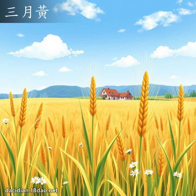 三月黃 - 國語大辭典配圖