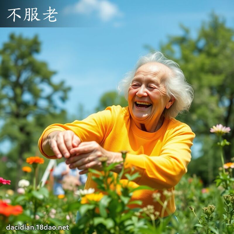 不服老 - 國語大辭典配圖