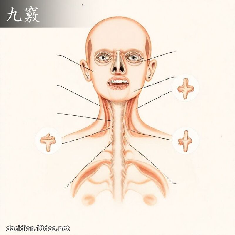九竅 - 國語大辭典配圖
