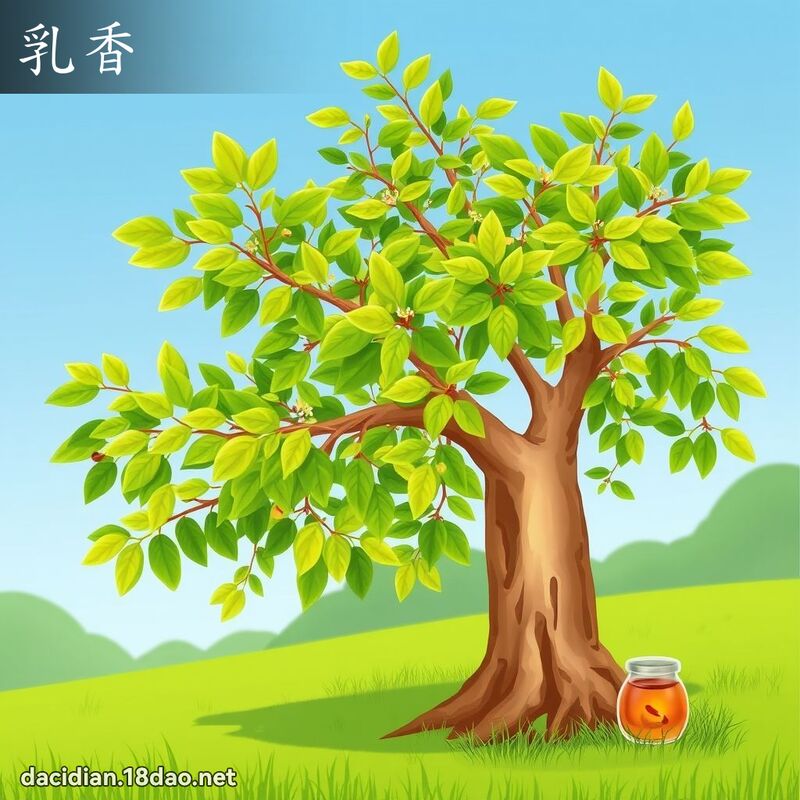 乳香 - 国语大辞典配图