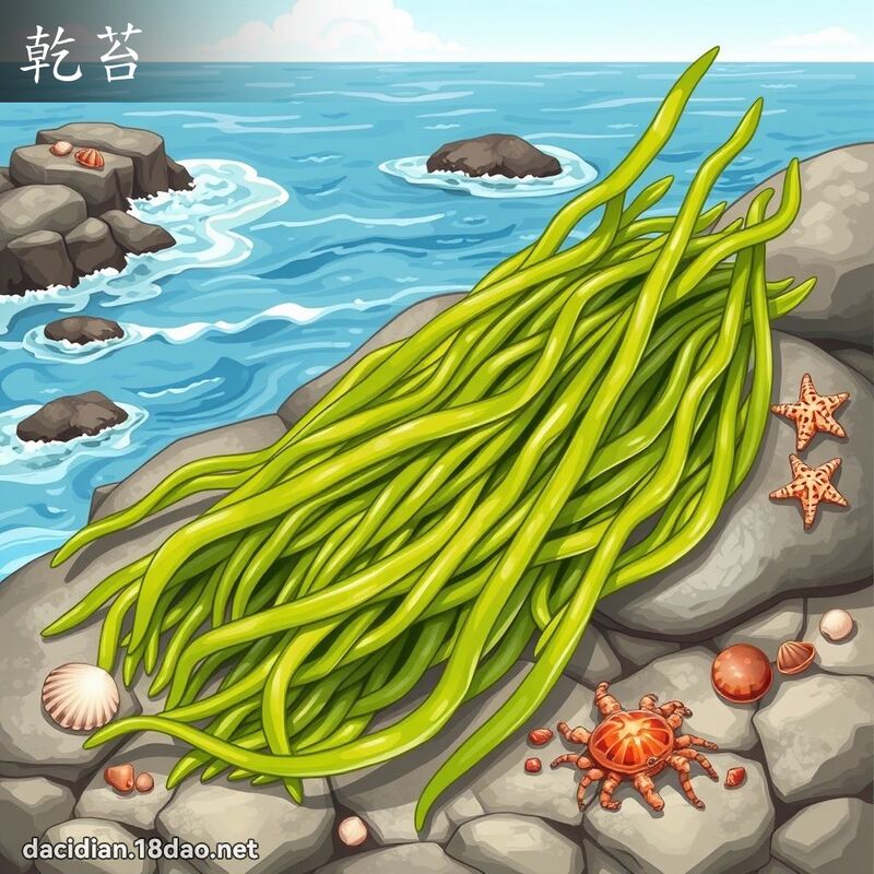 乾苔 - 國語大辭典配圖