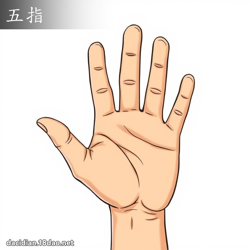 五指 - 國語大辭典配圖