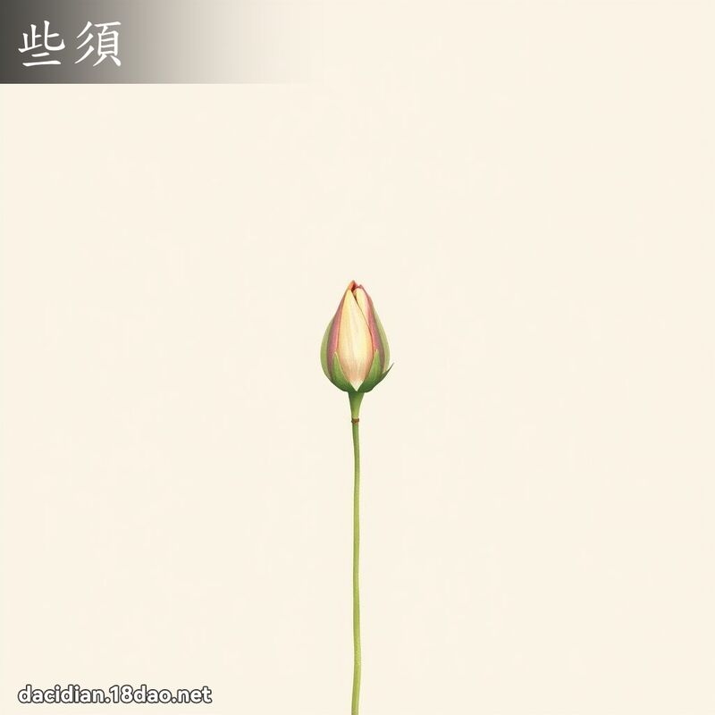 些须 - 国语大辞典配图