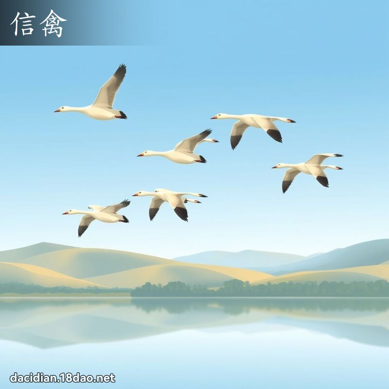 信禽 - 国语大辞典配图