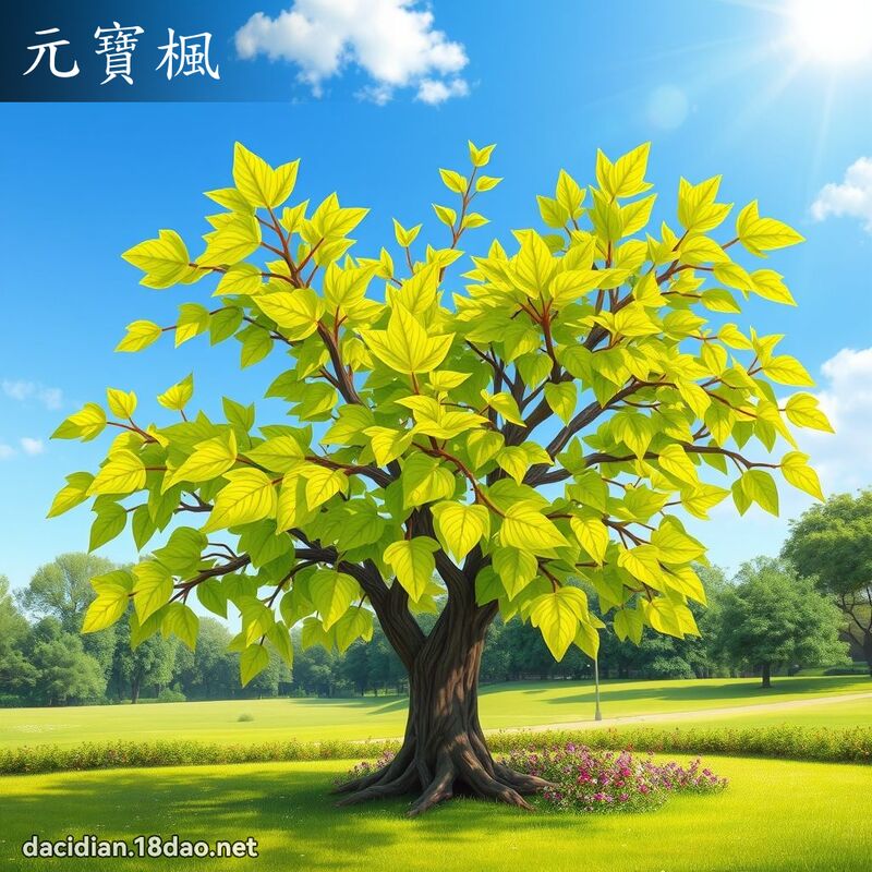 元寶楓 - 國語大辭典配圖