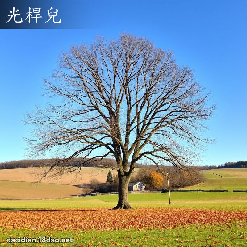 光桿兒 - 國語大辭典配圖
