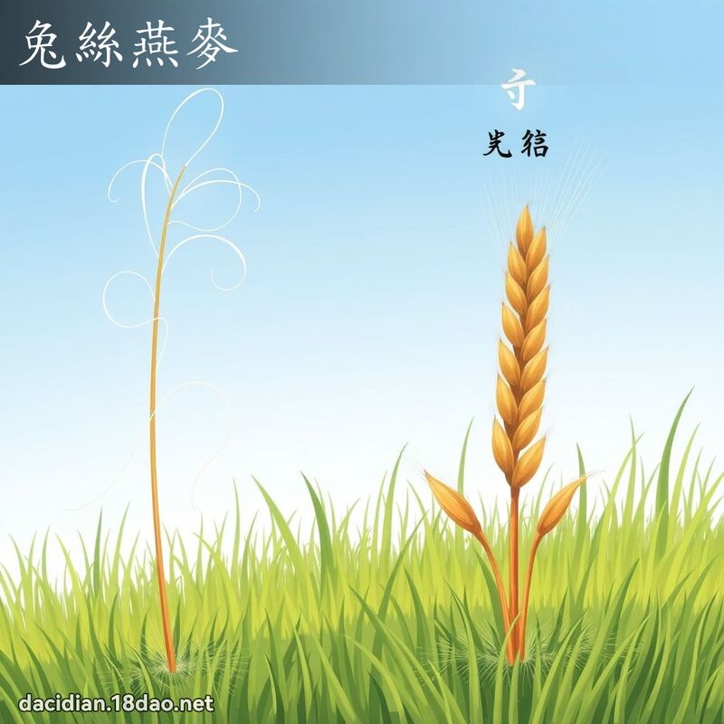兔絲燕麥 - 國語大辭典配圖