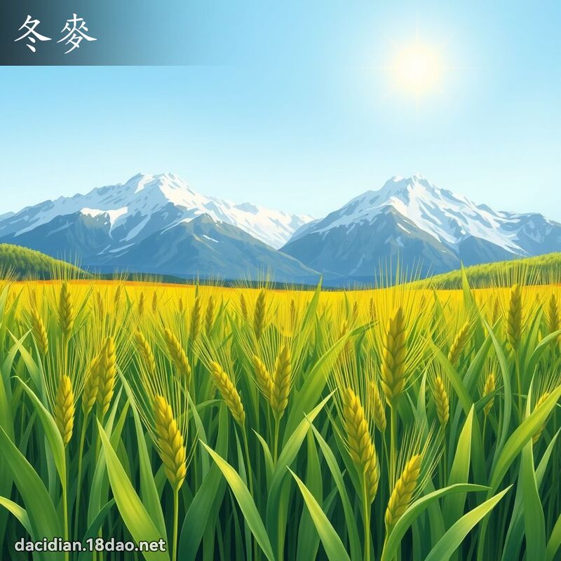 冬麥 - 國語大辭典配圖