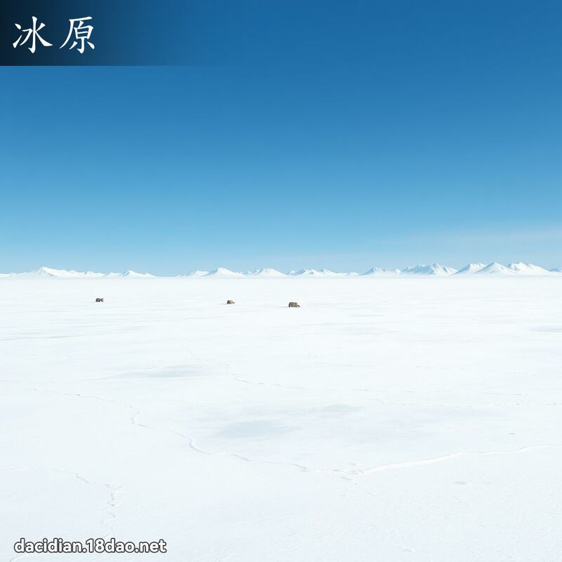 冰原 - 国语大辞典配图