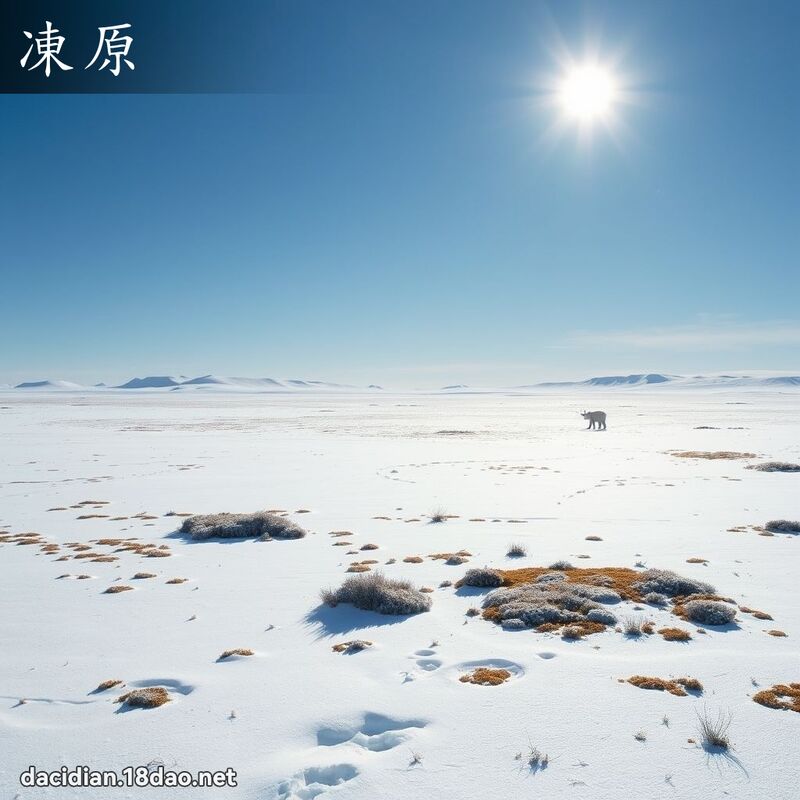 冻原 - 国语大辞典配图