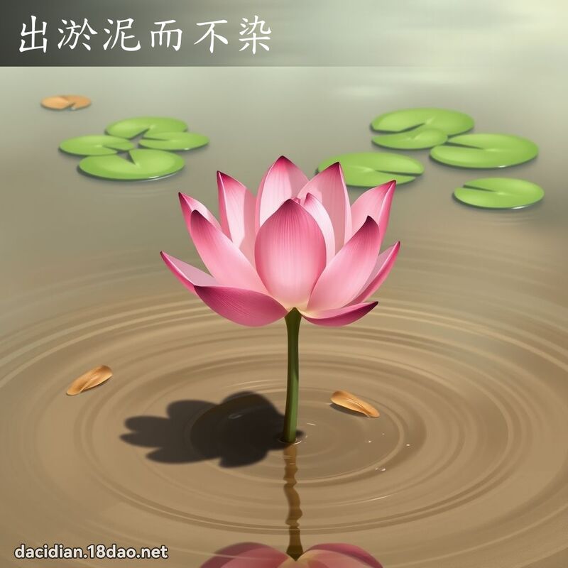 出淤泥而不染 - 國語大辭典配圖