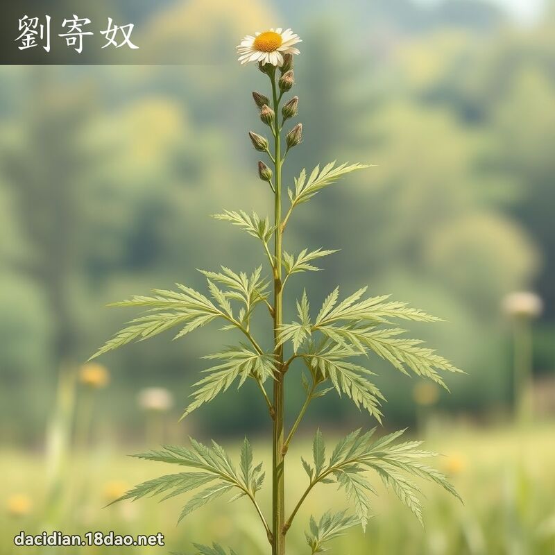 劉寄奴 - 國語大辭典配圖