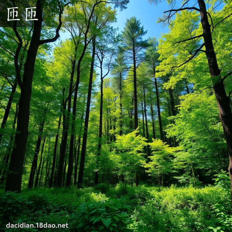 匝匝 - 國語大辭典配圖