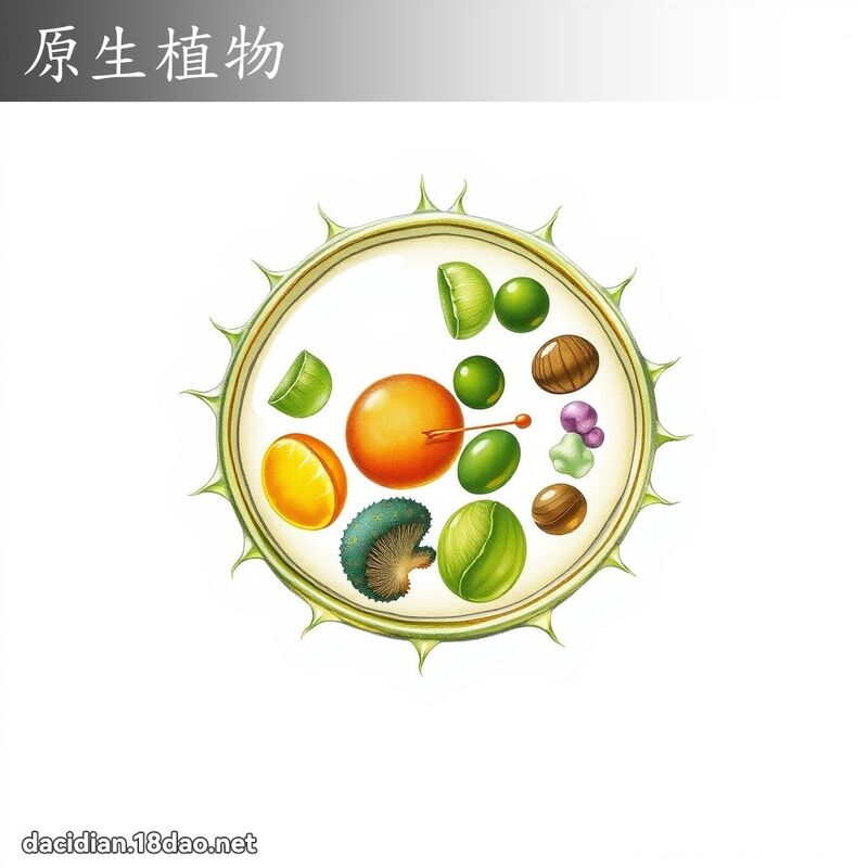 原生植物 - 国语大辞典配图