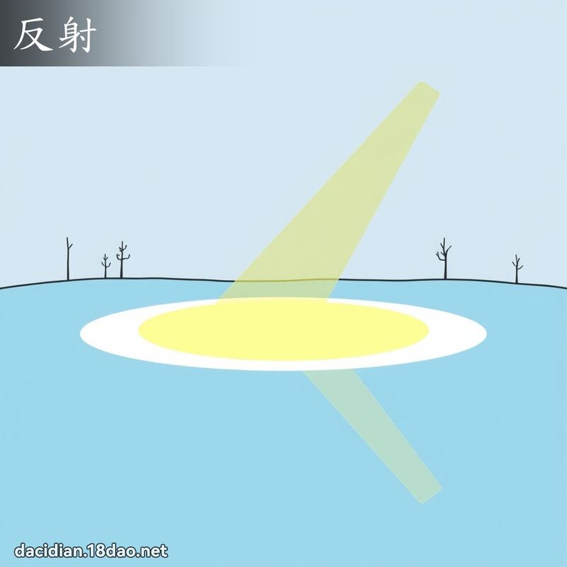 反射 - 国语大辞典配图