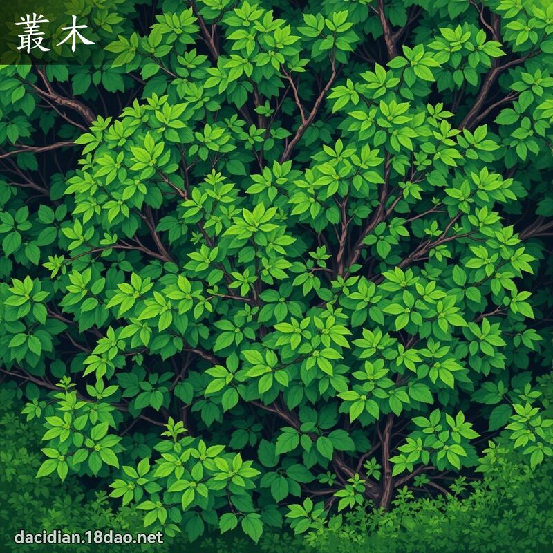 叢木 - 國語大辭典配圖