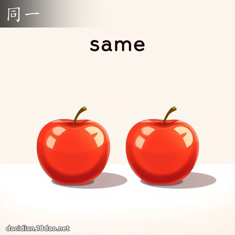 同一 - 國語大辭典配圖