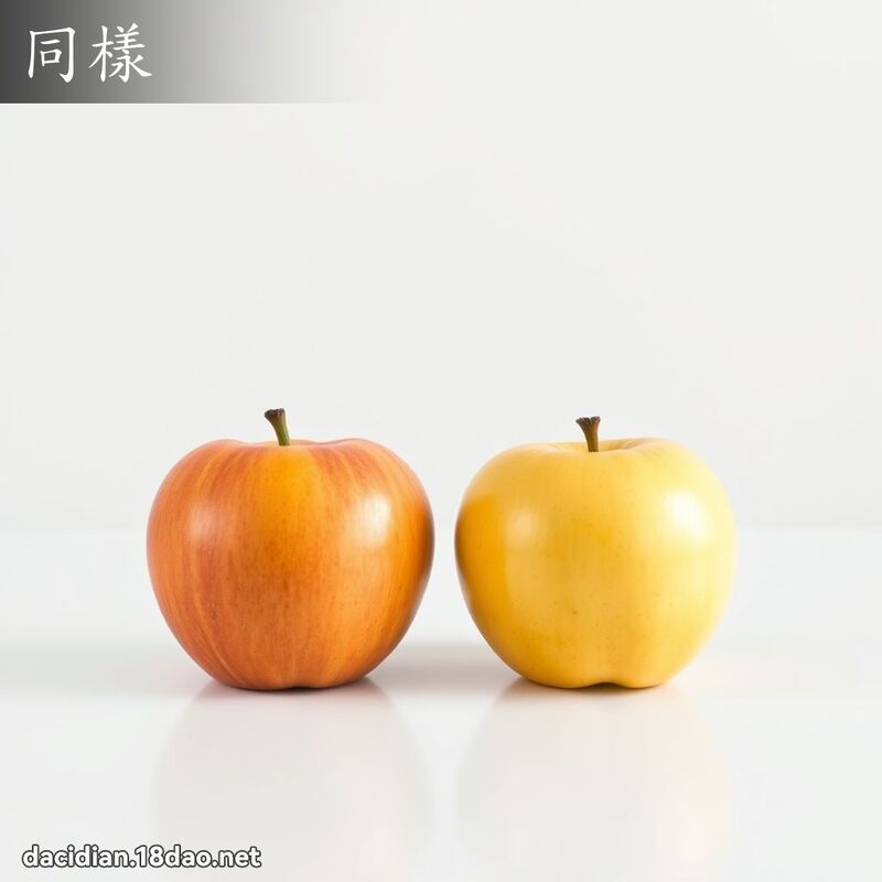 同样 - 国语大辞典配图