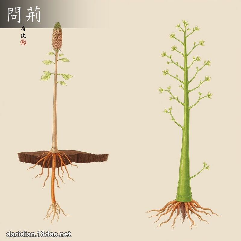 問荊 - 國語大辭典配圖