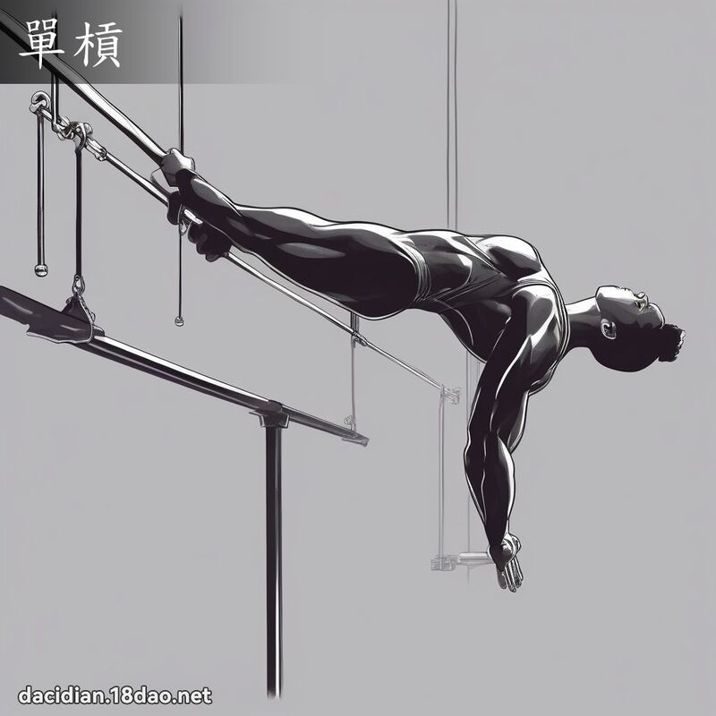單槓 - 國語大辭典配圖