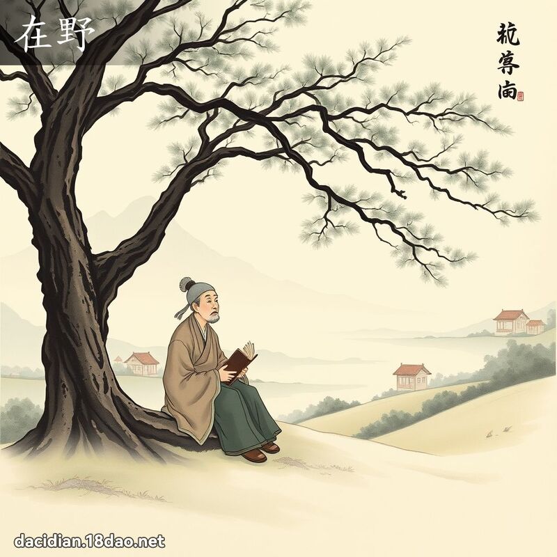 在野 - 國語大辭典配圖