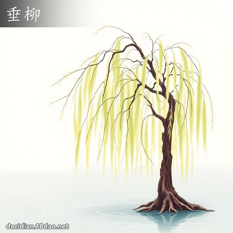 垂柳 - 國語大辭典配圖