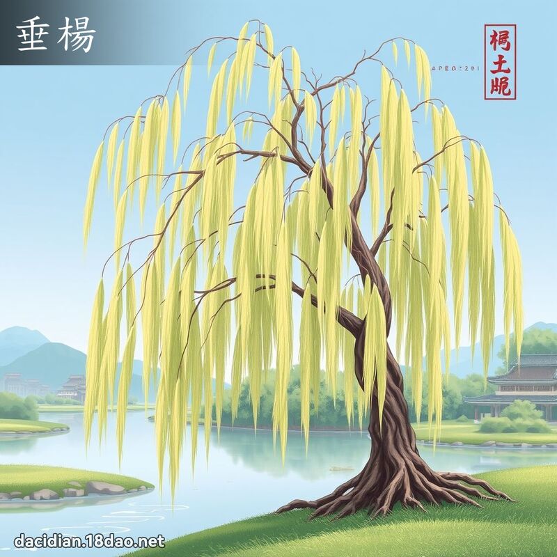 垂杨 - 国语大辞典配图