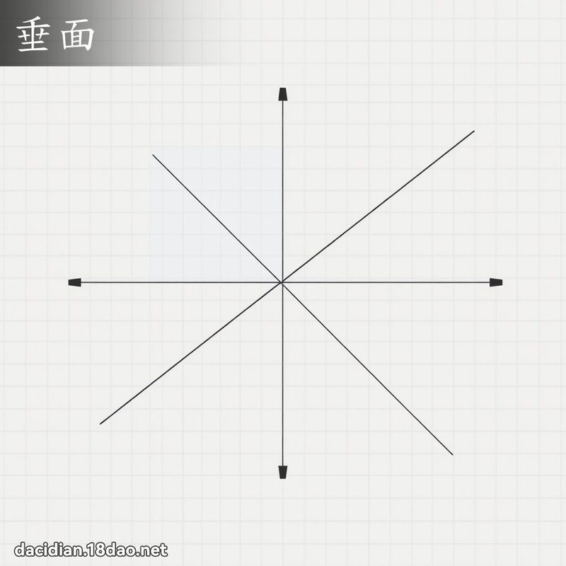 垂面 - 國語大辭典配圖