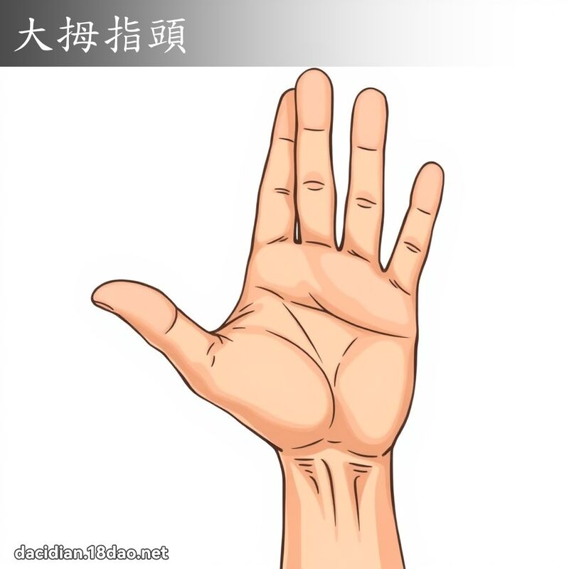 大拇指頭 - 國語大辭典配圖