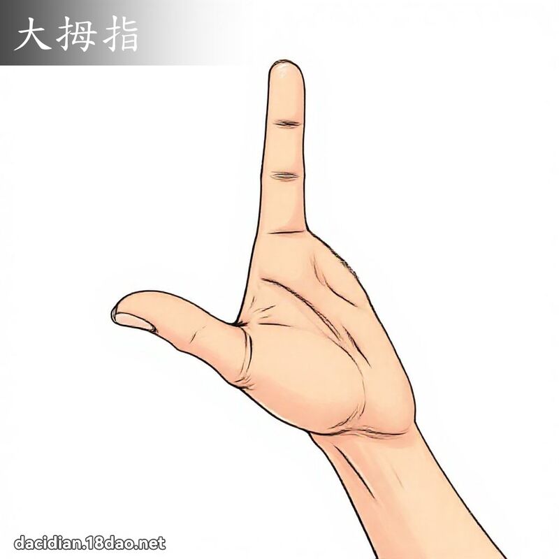 大拇指 - 國語大辭典配圖