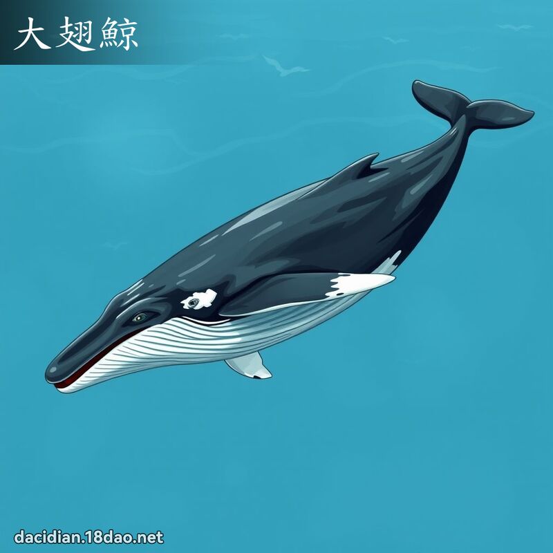 大翅鯨 - 國語大辭典配圖