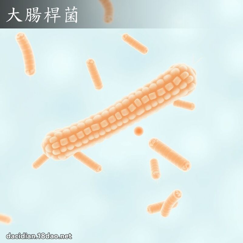 大腸桿菌 - 國語大辭典配圖