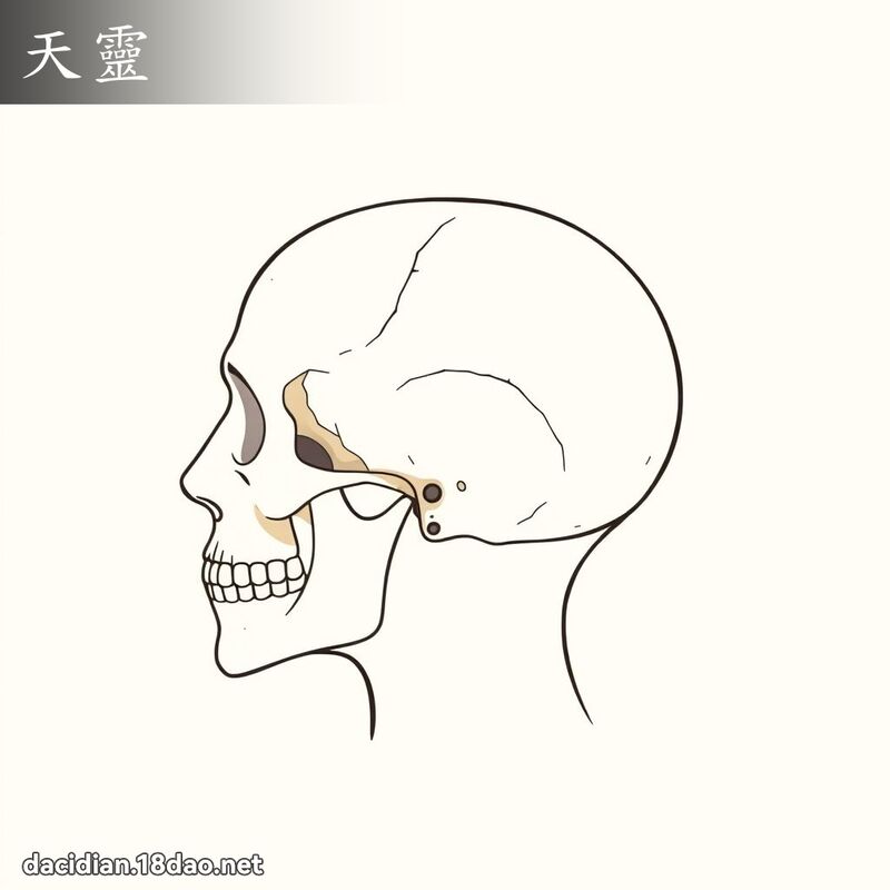 天靈 - 國語大辭典配圖