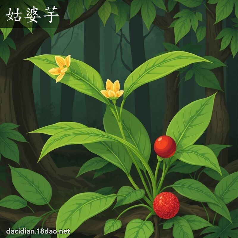 姑婆芋 - 國語大辭典配圖