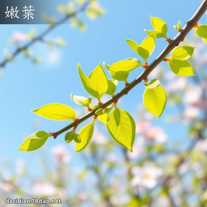 嫩葉 - 國語大辭典配圖