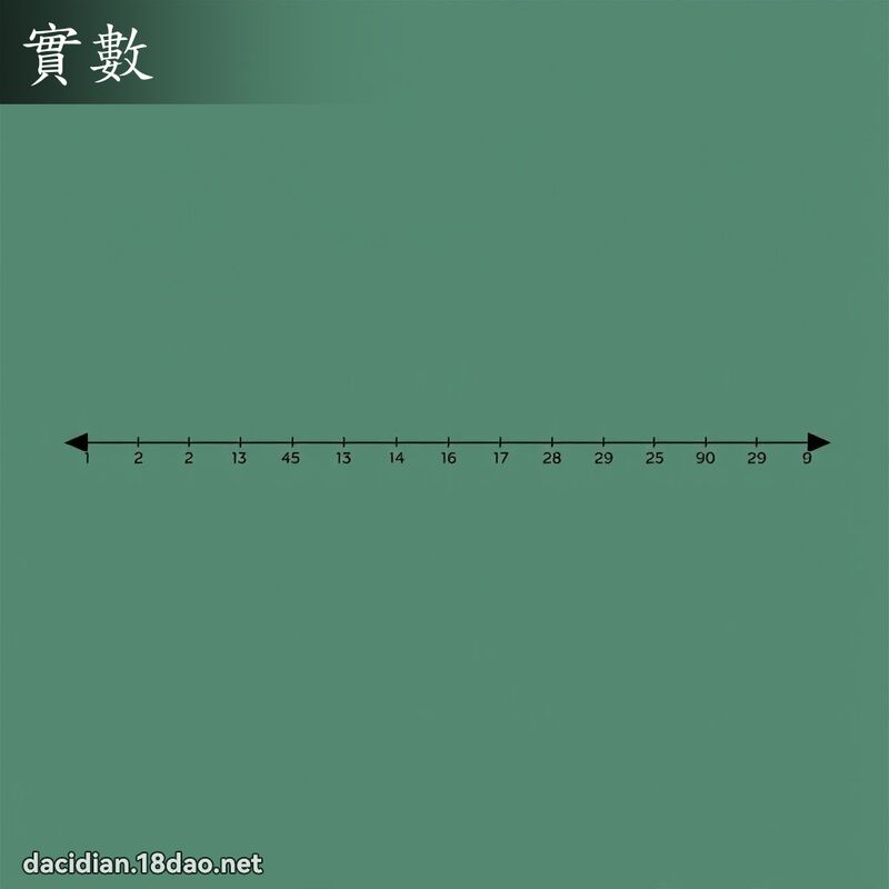 实数 - 国语大辞典配图