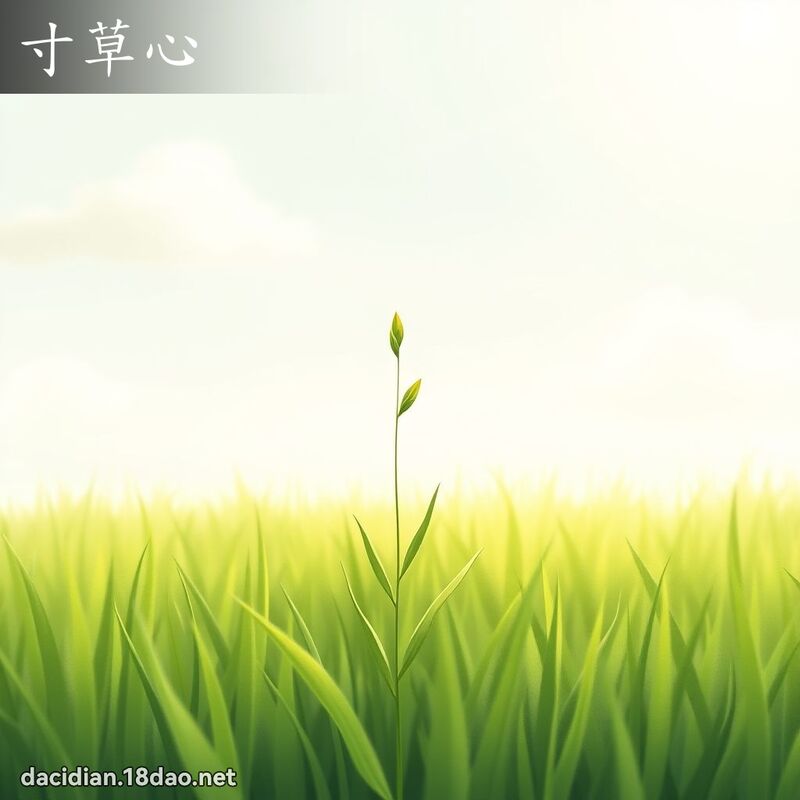 寸草心 - 国语大辞典配图