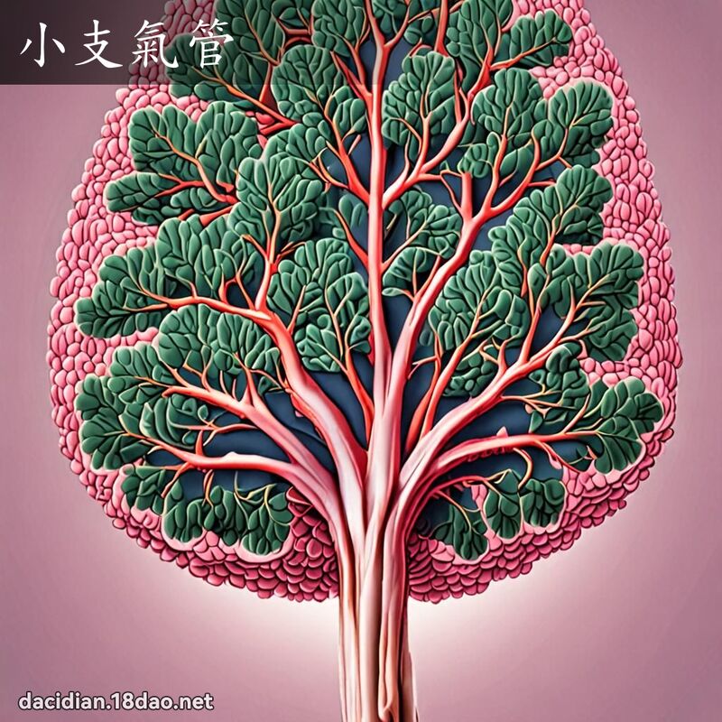 小支氣管 - 國語大辭典配圖