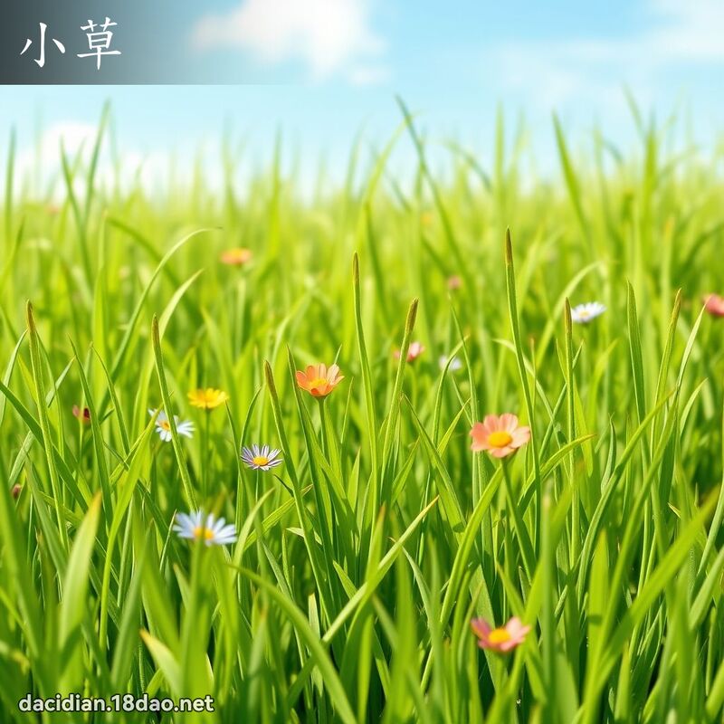 小草 - 国语大辞典配图