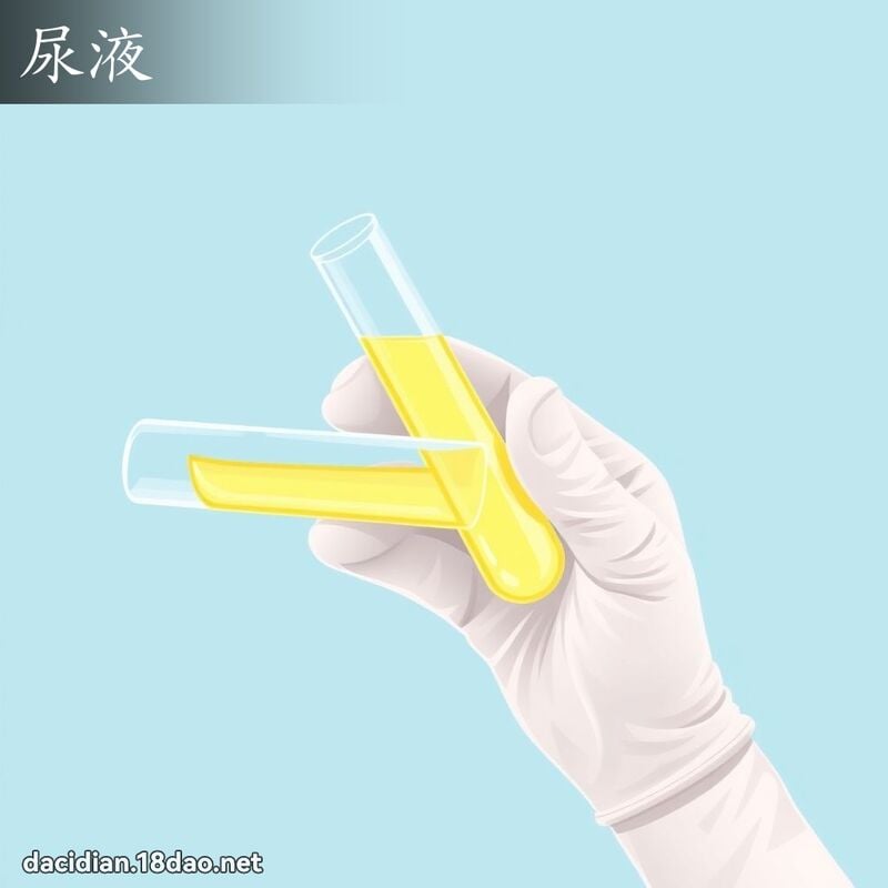 尿液 - 國語大辭典配圖
