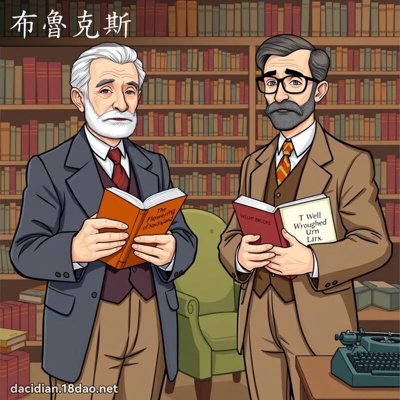 布鲁克斯 - 国语大辞典配图