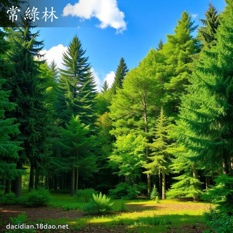 常绿林 - 国语大辞典配图