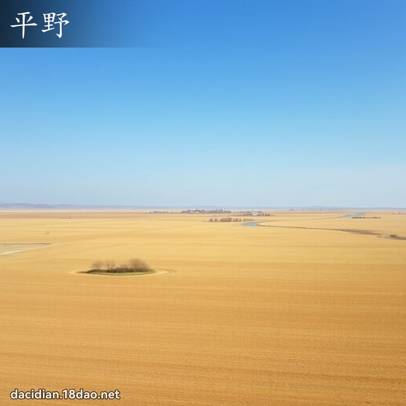 平野 - 國語大辭典配圖
