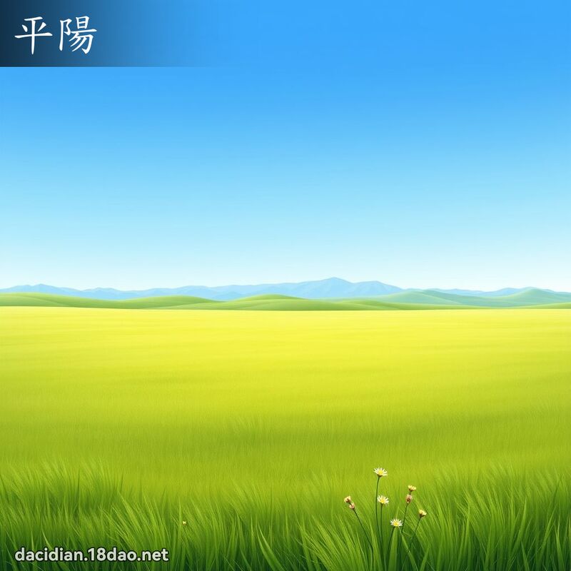 平阳 - 国语大辞典配图