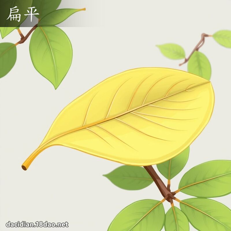 扁平 - 國語大辭典配圖