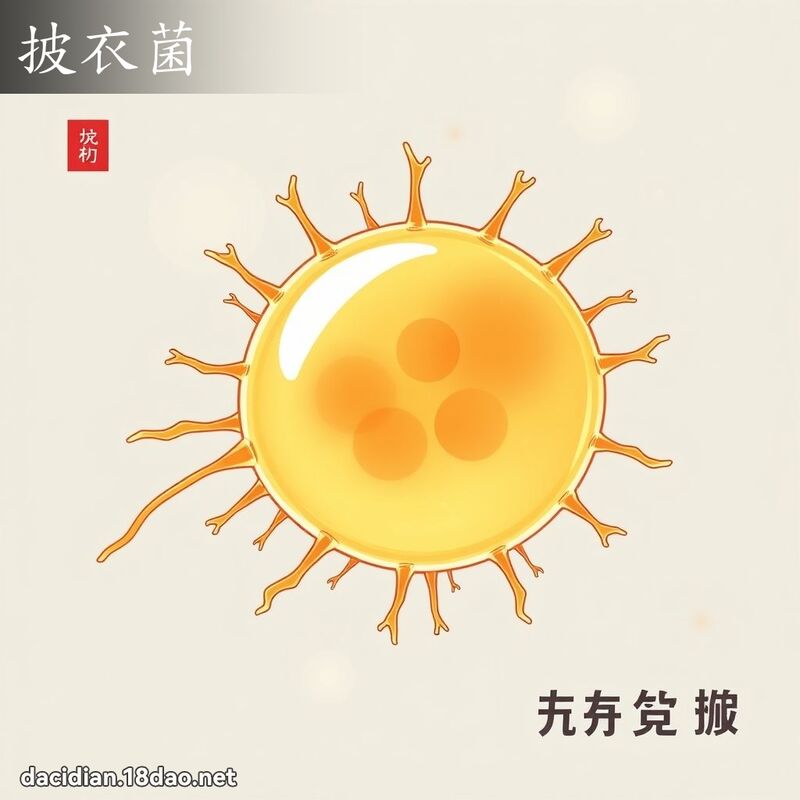披衣菌 - 國語大辭典配圖